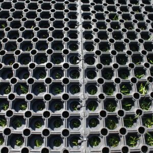 Gräsarmeringsmatta gummi 45 mm 1000 x 1500 mm (m2)