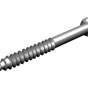 Eyebolt in stainless steel, 100mm