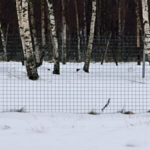 Kedjelänksstaket Svetsad 1,0 m