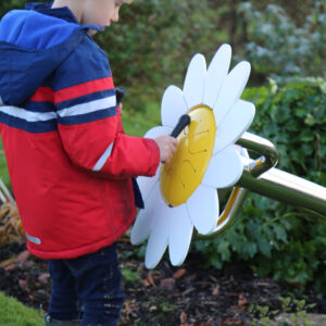 Utomhusinstrument Daisy kronbladstrumma