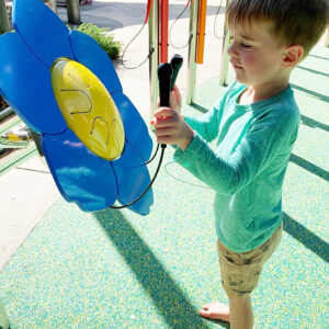 Utomhusinstrument Forget-Me-Not kronbladstrumma