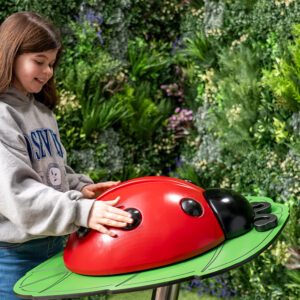 Utomhusinstrument Ladybug