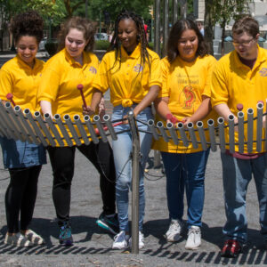 Utomhusinstrument Papilio