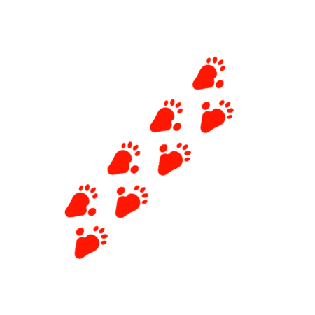 Fotavtryck King Kong