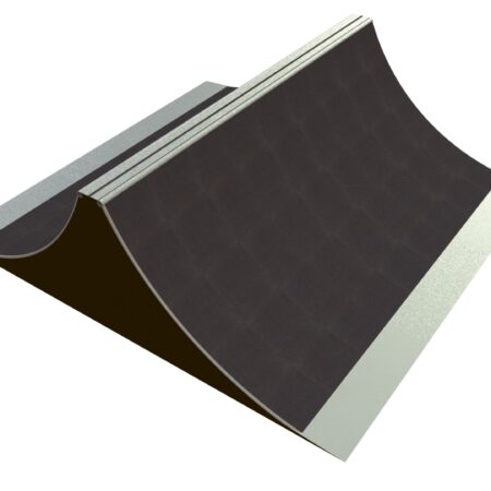 Skateboard Jenny Spine