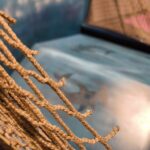 Projektbild från Decoy - ett nytt spel från Readymade Elements